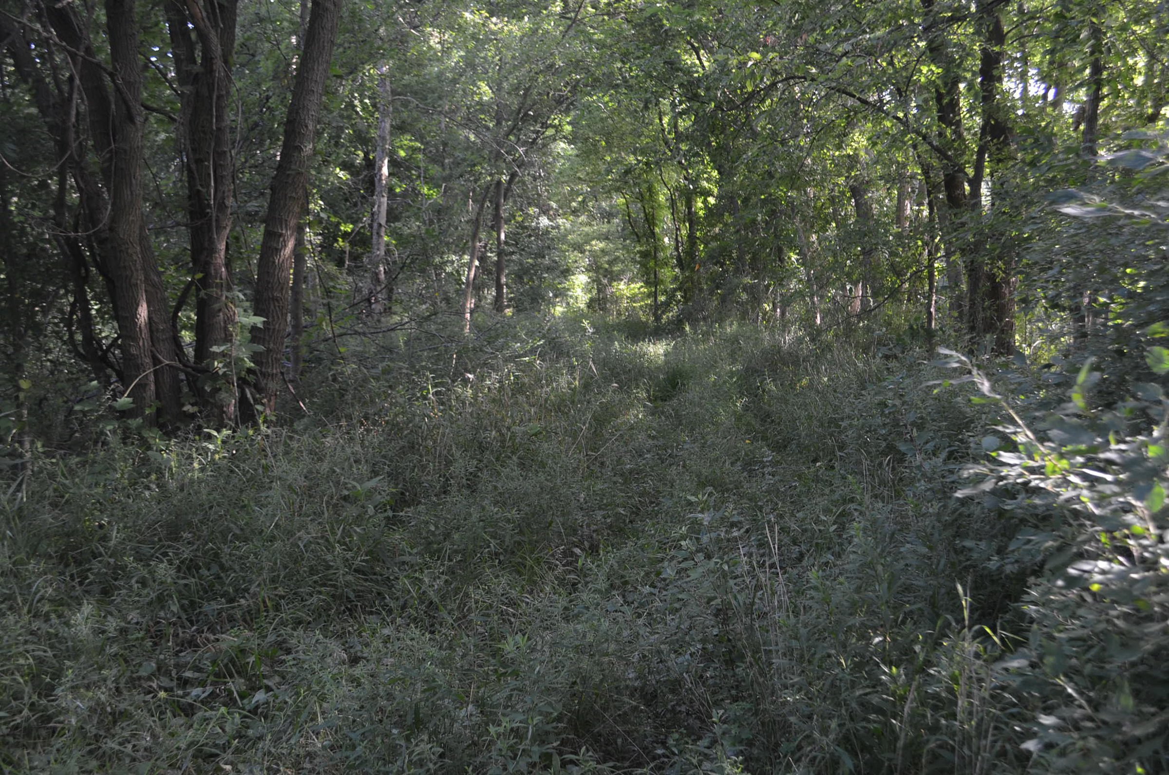 Property photo 20 - REAL ESTATE AUCTION - 26+/- ACRES IN 3 TRACTS IN SOUTHWEST ALLEN COUNTY, INDIANA